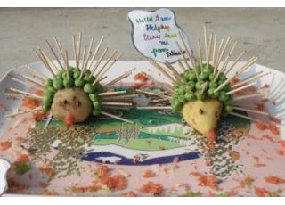 VEGETABLE CARVING COMP. 2016