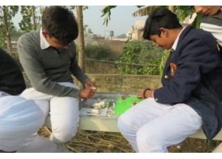 VEGETABLE CARVING COMP. 2016