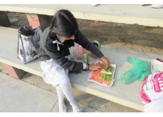 VEGETABLE CARVING COMP. 2016