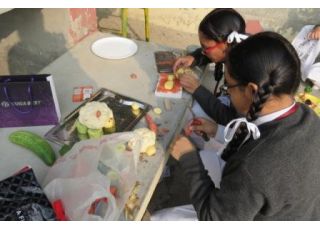 VEGETABLE CARVING COMP. 2016